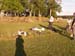 PICT7979