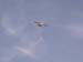 PICT8084