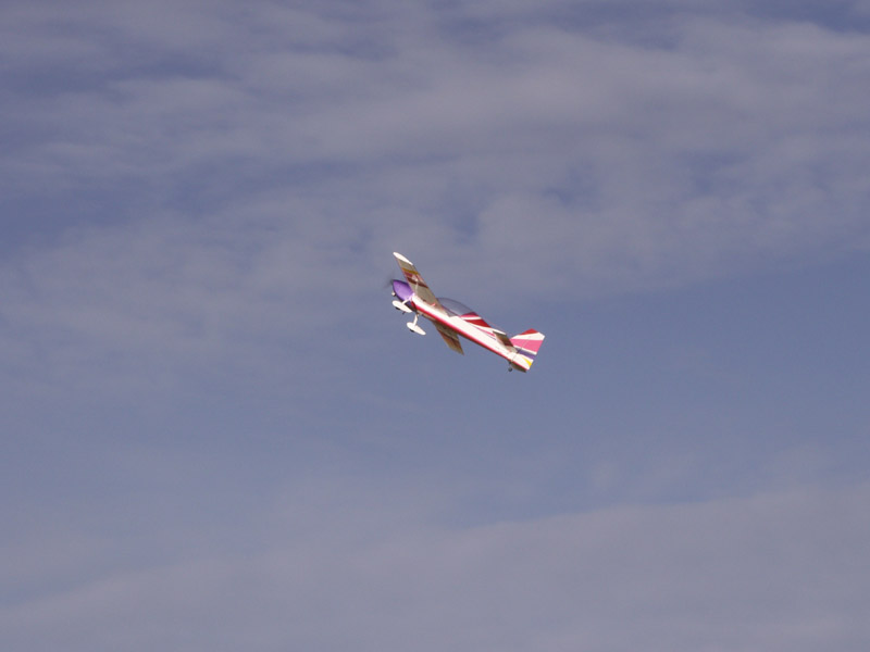 PICT0800