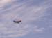 PICT0819